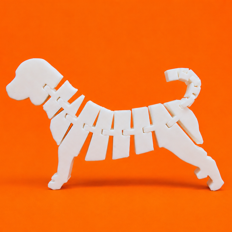 Perro personalizado