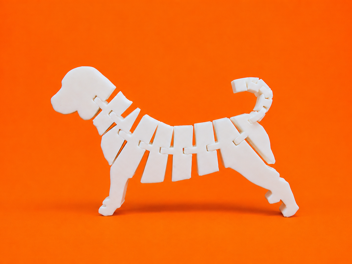 Perro personalizado